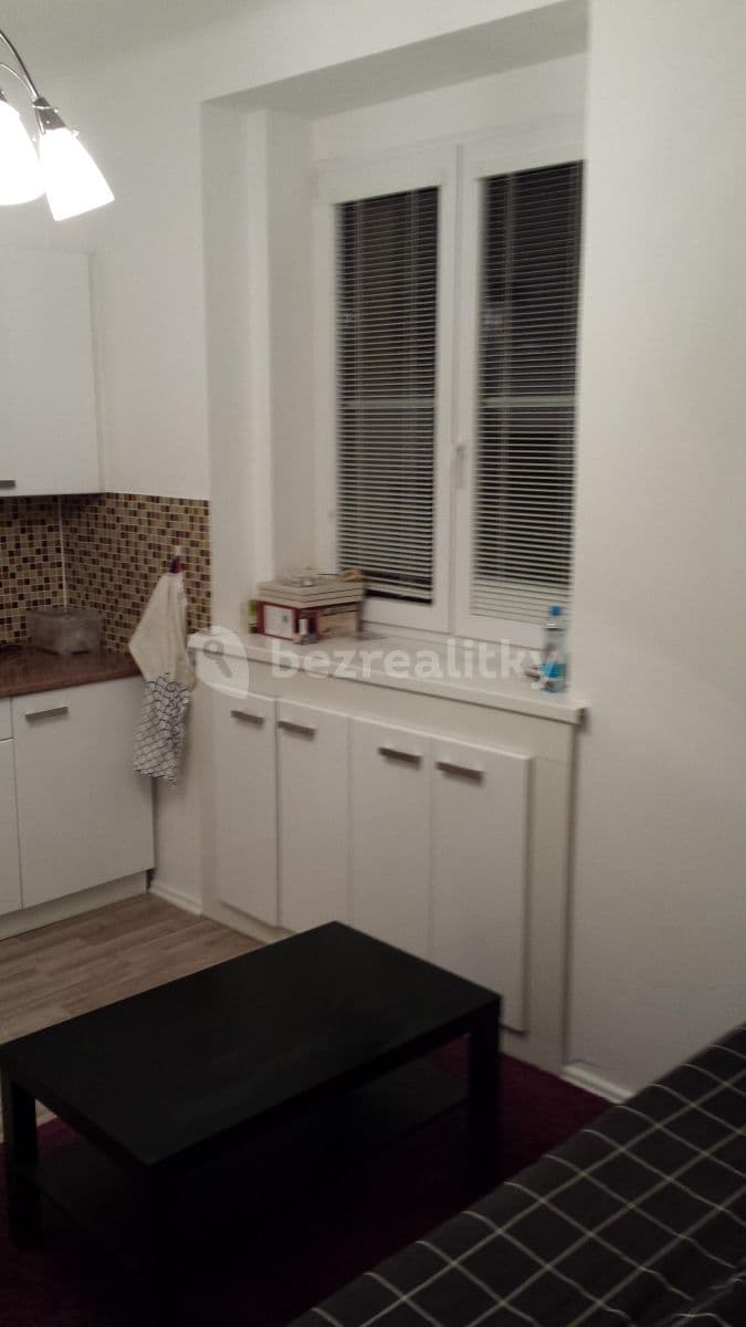 1 bedroom with open-plan kitchen flat to rent, 33 m², Osadní, Prague, Prague