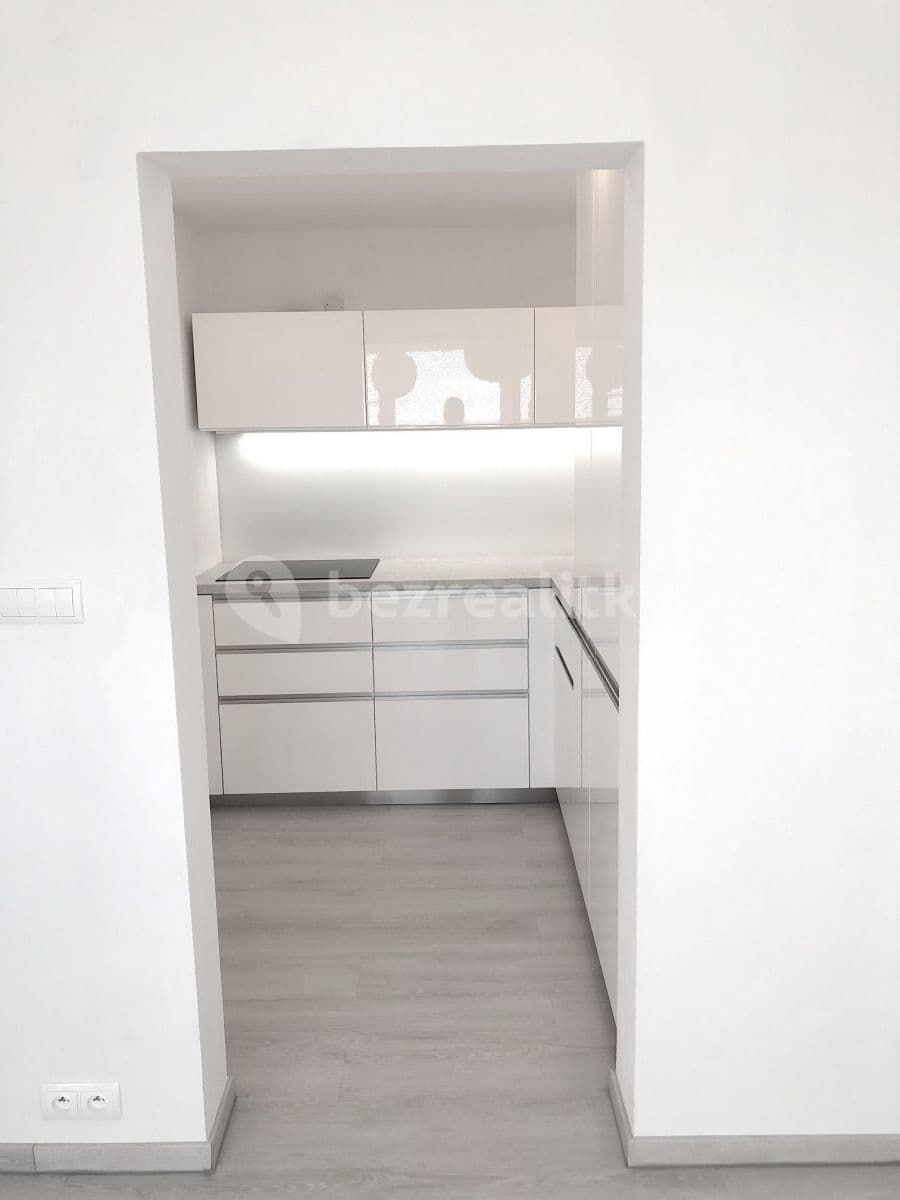 1 bedroom with open-plan kitchen flat to rent, 45 m², U Valu, Prague, Prague