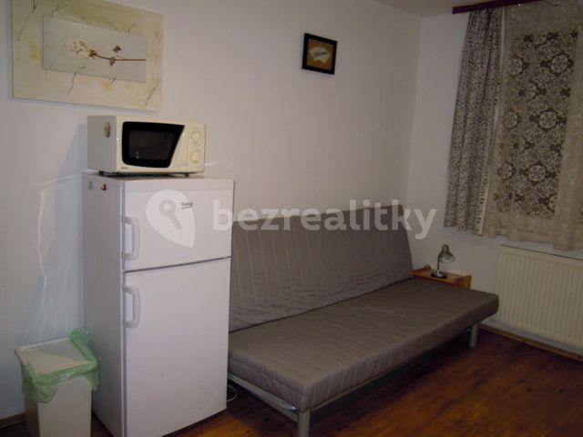 1 bedroom with open-plan kitchen flat to rent, 43 m², U Skládky, Prague, Prague