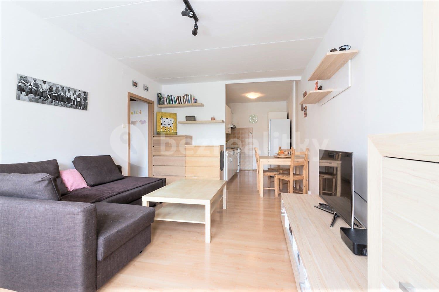 1 bedroom with open-plan kitchen flat to rent, 48 m², Bernolákova, Prague, Prague