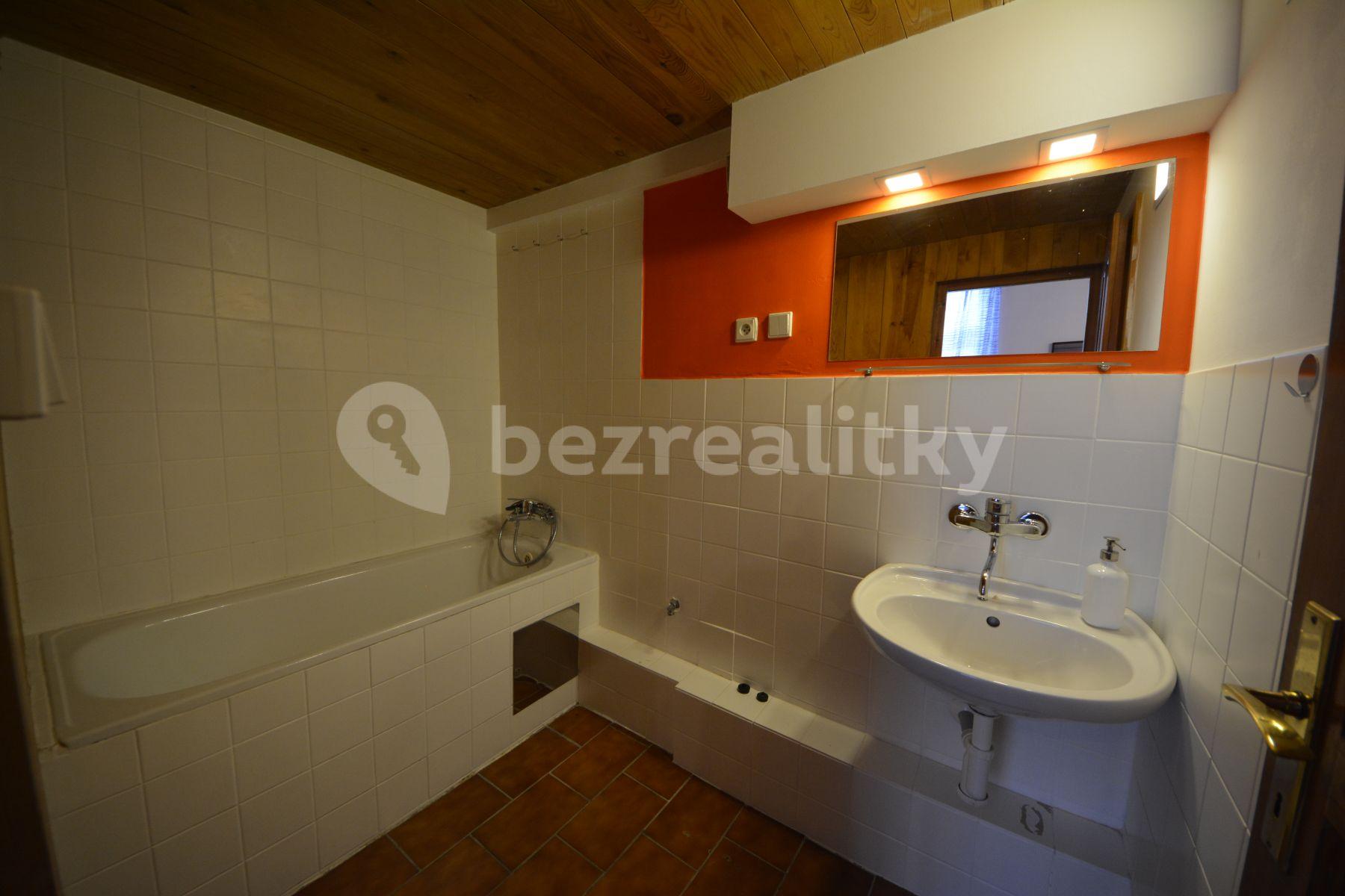 1 bedroom with open-plan kitchen flat to rent, 43 m², Šaldova, Prague, Prague