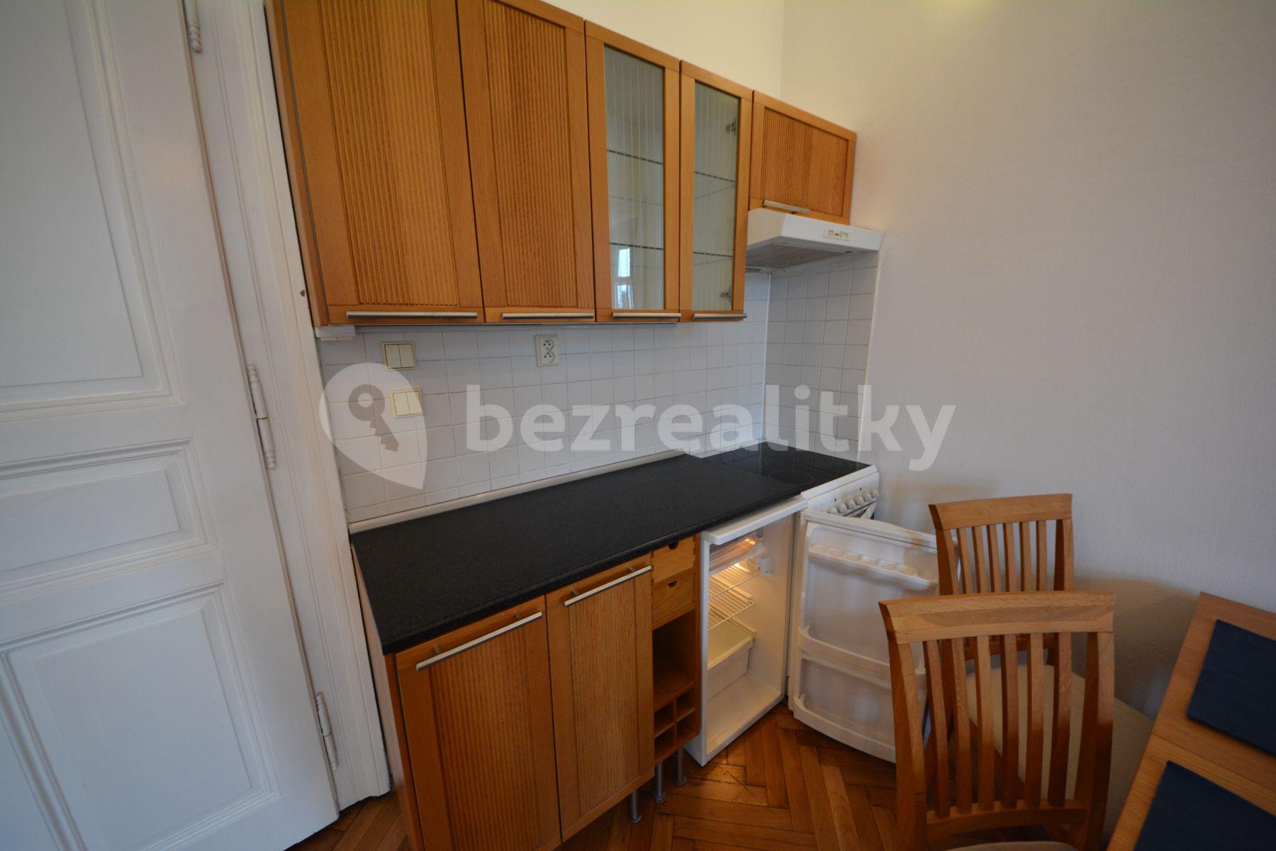 1 bedroom with open-plan kitchen flat to rent, 43 m², Šaldova, Prague, Prague