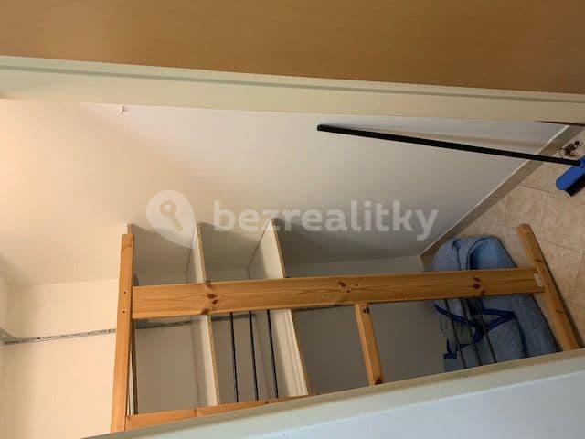 1 bedroom with open-plan kitchen flat to rent, 52 m², Pod Harfou, Prague, Prague