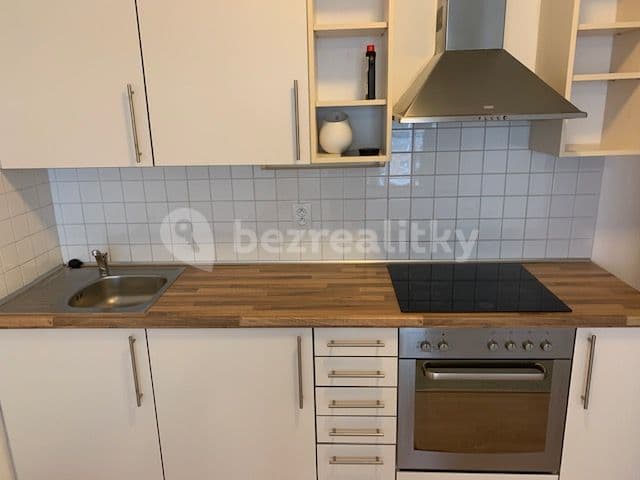 1 bedroom with open-plan kitchen flat to rent, 52 m², Pod Harfou, Prague, Prague