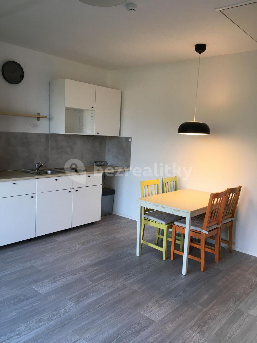 Small studio flat to rent, 35 m², Krušovická, Prague, Prague