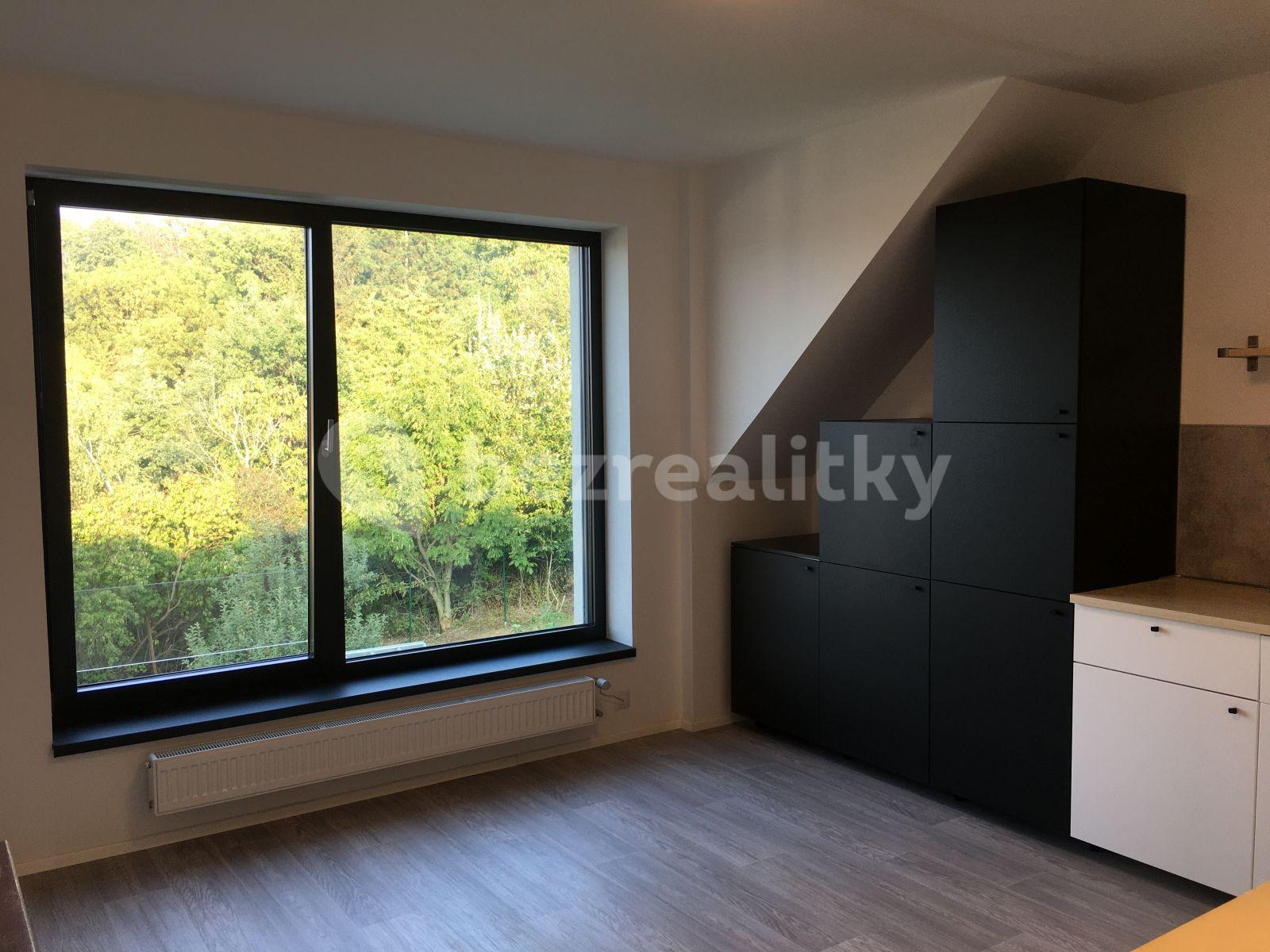 Small studio flat to rent, 35 m², Krušovická, Prague, Prague