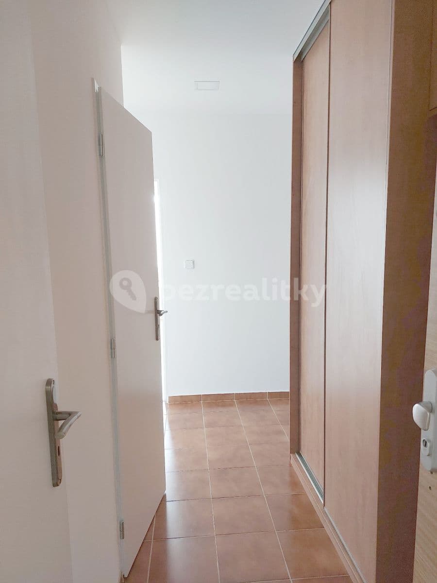 1 bedroom with open-plan kitchen flat to rent, 45 m², Modrá, Prague, Prague