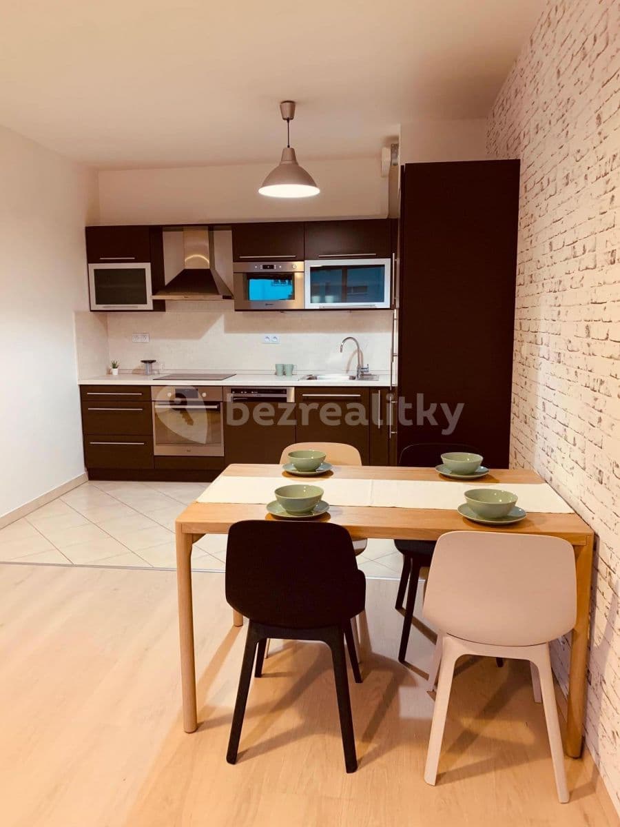1 bedroom with open-plan kitchen flat to rent, 61 m², Míšovická, Prague, Prague