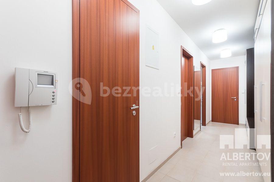 1 bedroom with open-plan kitchen flat to rent, 50 m², Horská, Prague, Prague