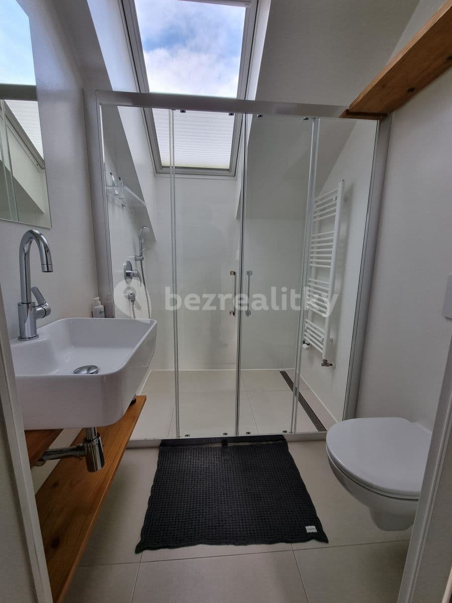 2 bedroom with open-plan kitchen flat to rent, 85 m², Ve Střešovičkách, Prague, Prague