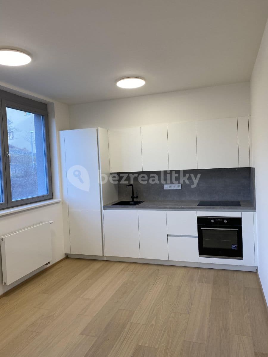 1 bedroom with open-plan kitchen flat to rent, 57 m², Kačirkova, Prague, Prague