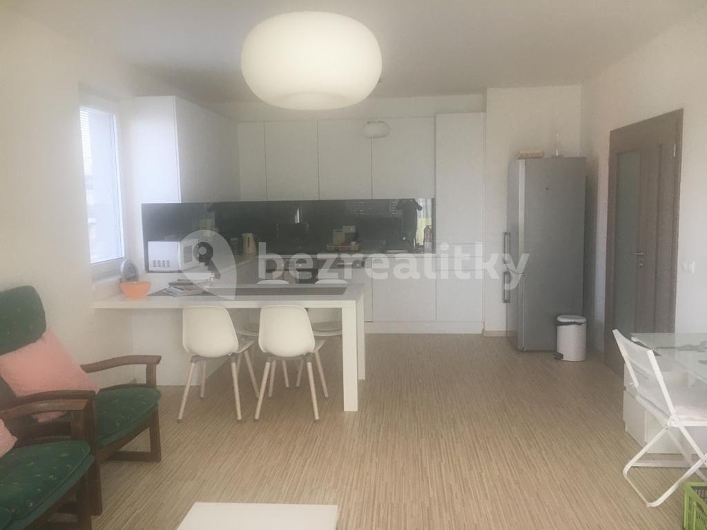 3 bedroom with open-plan kitchen flat to rent, 100 m², Prague, Prague