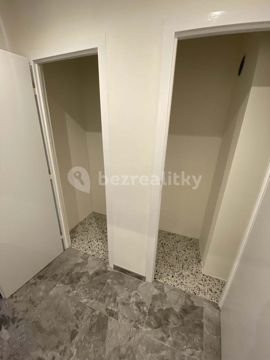 1 bedroom with open-plan kitchen flat to rent, 46 m², Brno, Jihomoravský Region