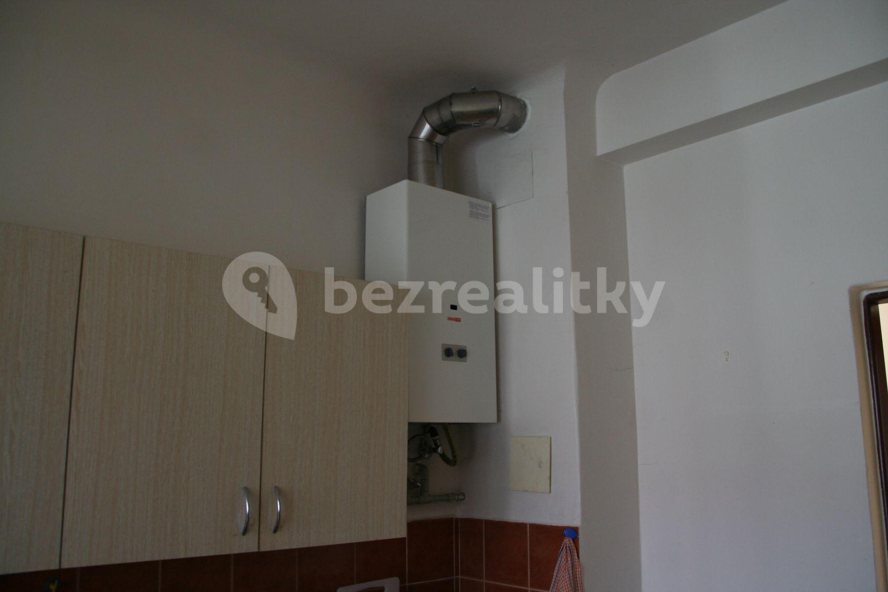1 bedroom with open-plan kitchen flat to rent, 42 m², Jilmová, Prague, Prague