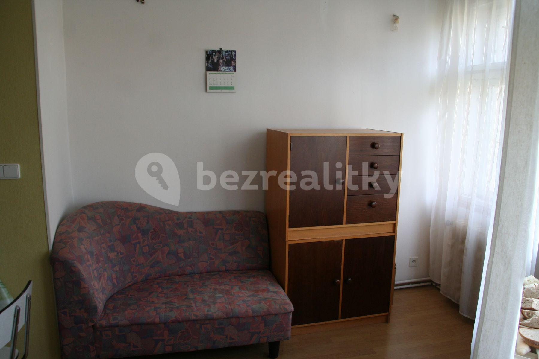1 bedroom with open-plan kitchen flat to rent, 42 m², Jilmová, Prague, Prague