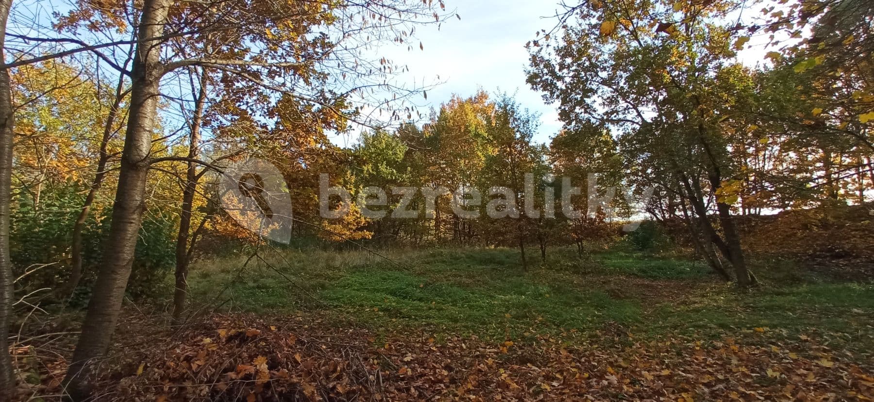 plot for sale, 4,000 m², Rakovice, Jihočeský Region