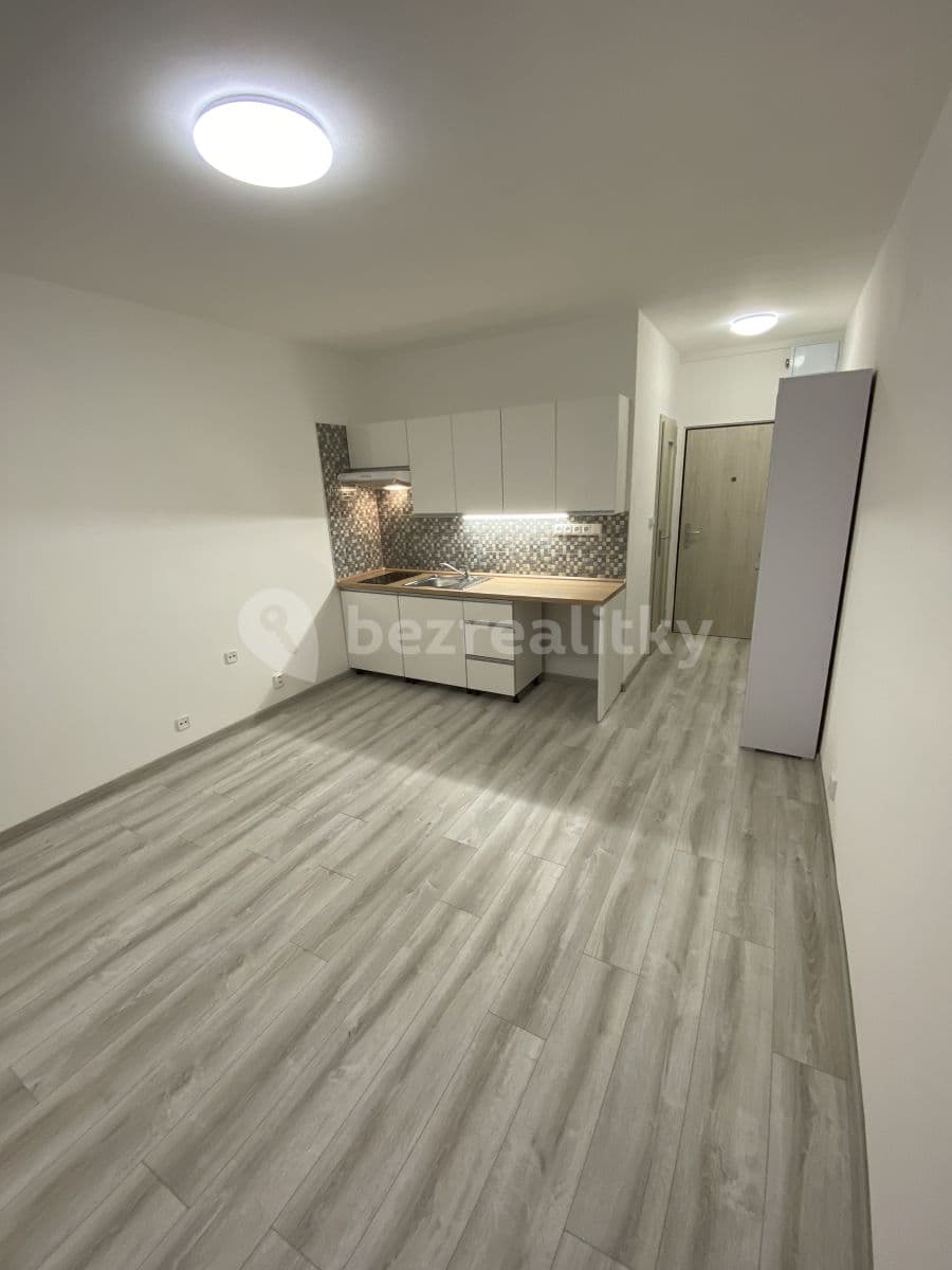 Small studio flat to rent, 20 m², Ladova, Ústí nad Labem, Ústecký Region