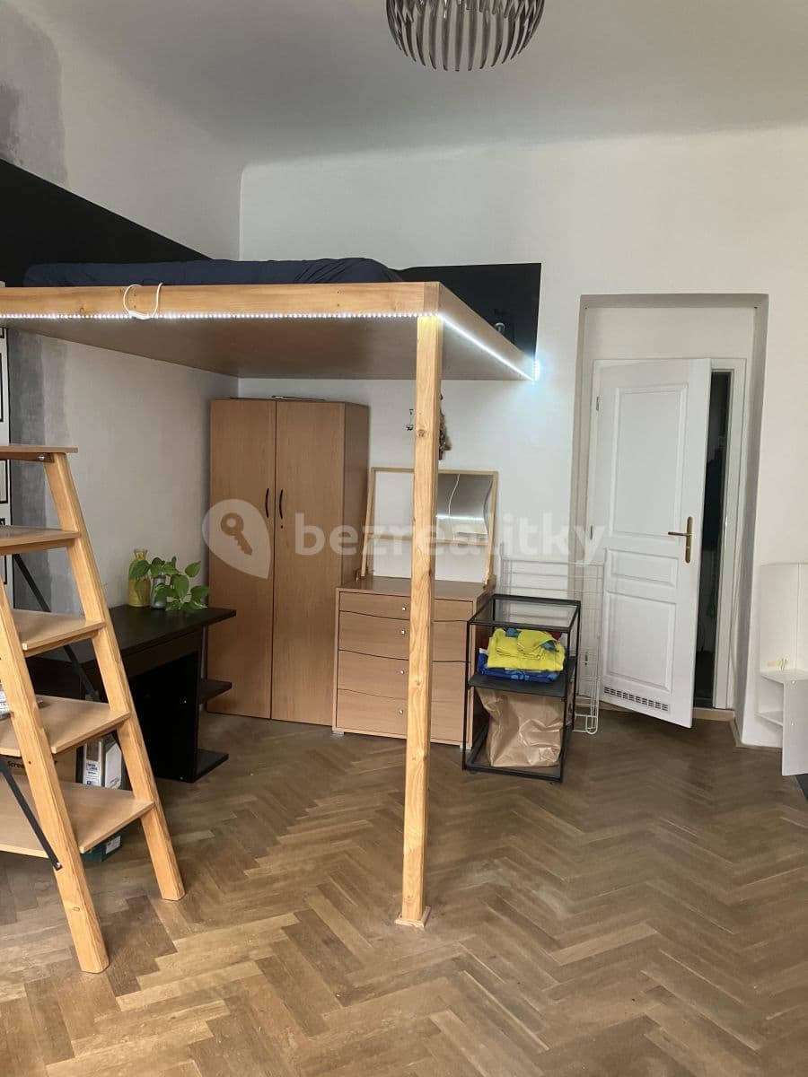 1 bedroom with open-plan kitchen flat to rent, 45 m², Thámova, Prague, Prague