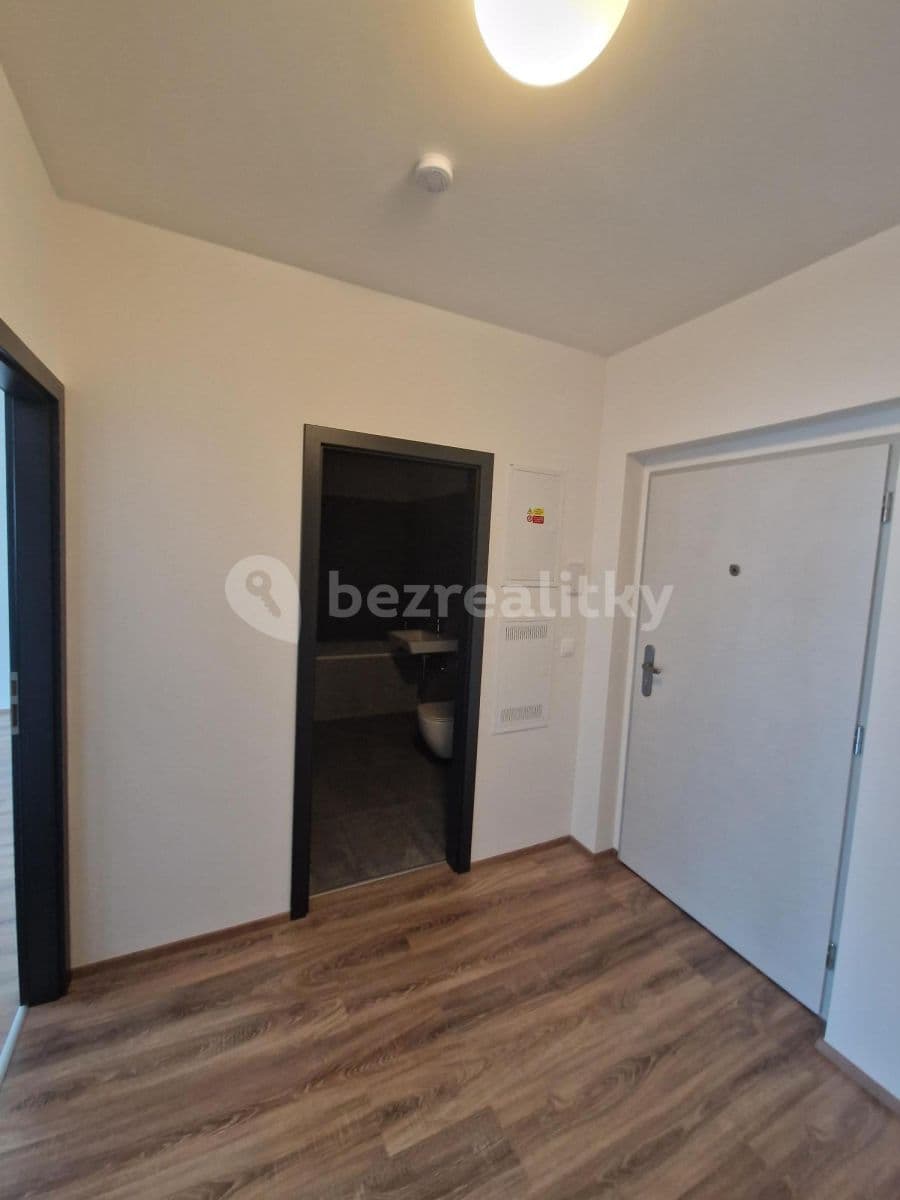 1 bedroom with open-plan kitchen flat to rent, 50 m², Polaneckého, Prague, Prague