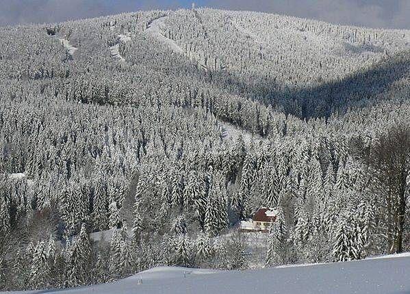 recreational property to rent, 0 m², Říčky v Orlických horách, Královéhradecký Region