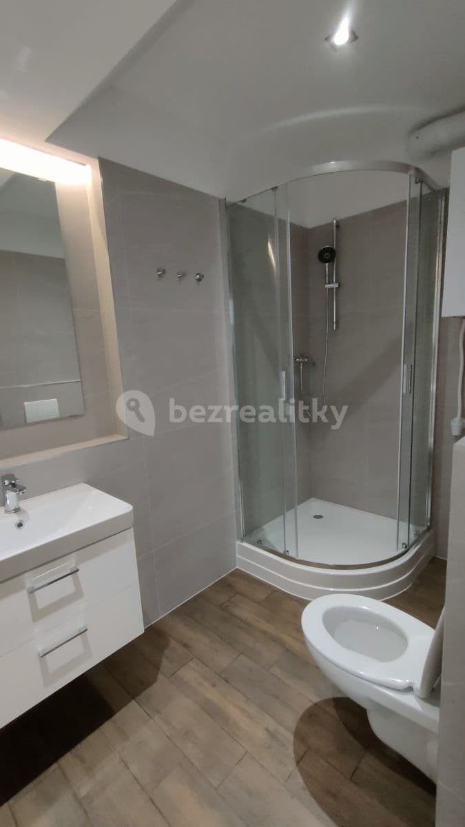 2 bedroom flat to rent, 38 m², Koněvova, Prague, Prague