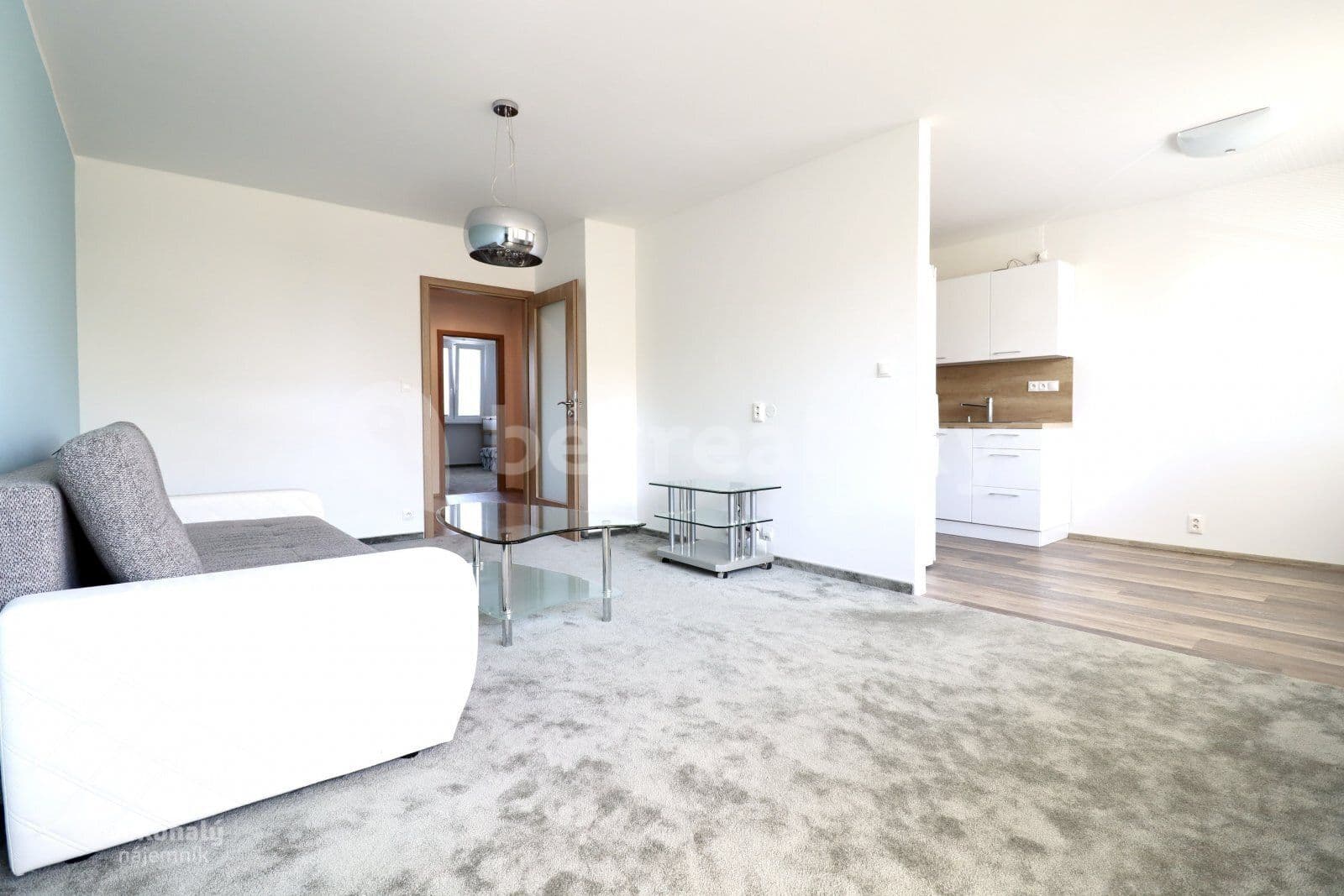2 bedroom with open-plan kitchen flat to rent, 82 m², Plickova, Prague, Prague