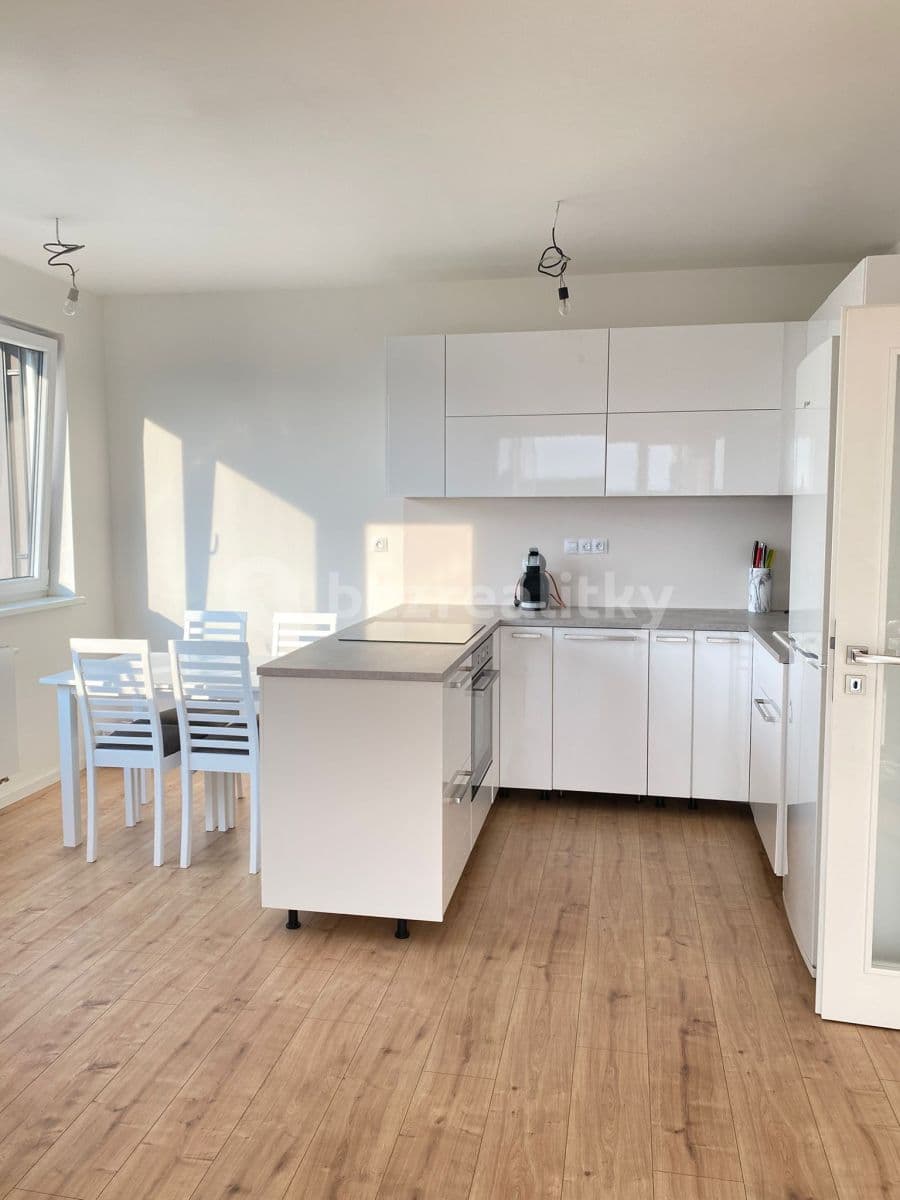 1 bedroom with open-plan kitchen flat to rent, 55 m², Emy Destinové, Jinočany, Středočeský Region
