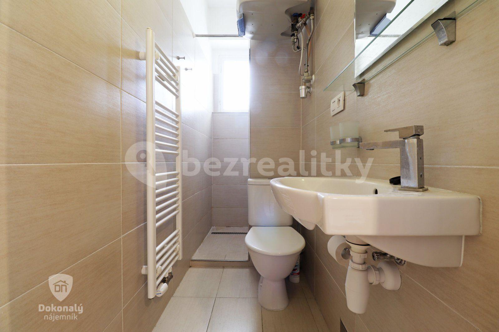 1 bedroom with open-plan kitchen flat to rent, 42 m², Kroftova, Prague, Prague
