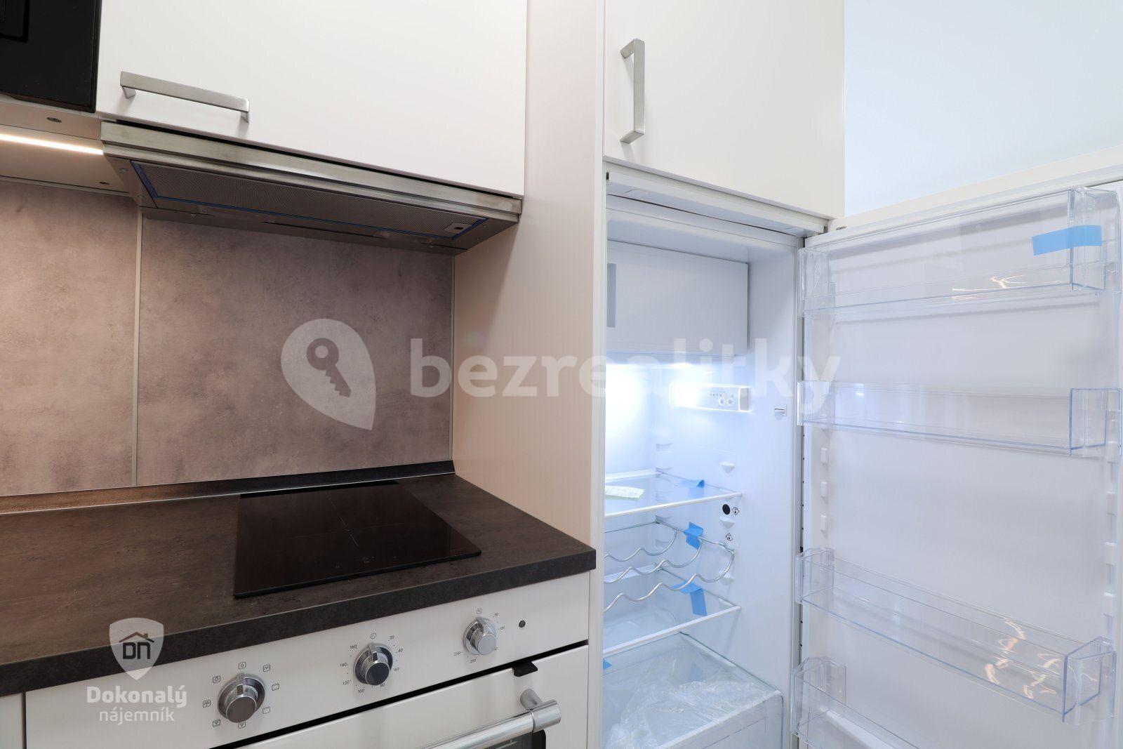 1 bedroom with open-plan kitchen flat to rent, 29 m², Šestajovická, Prague, Prague