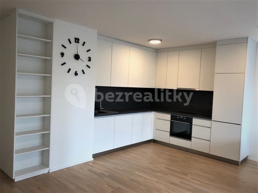 1 bedroom with open-plan kitchen flat to rent, 65 m², Neumannova, Brno, Jihomoravský Region
