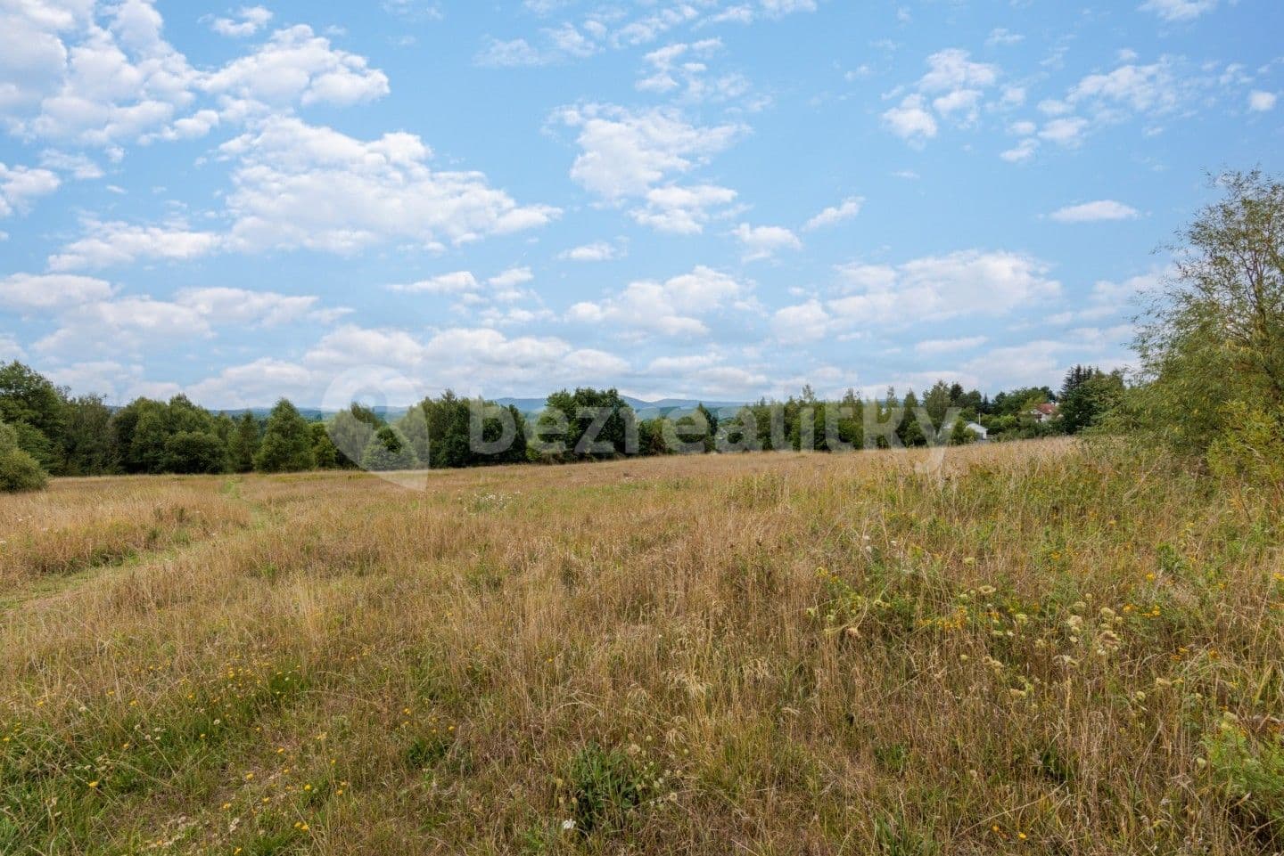 plot for sale, 13,462 m², Dalovice, Karlovarský Region