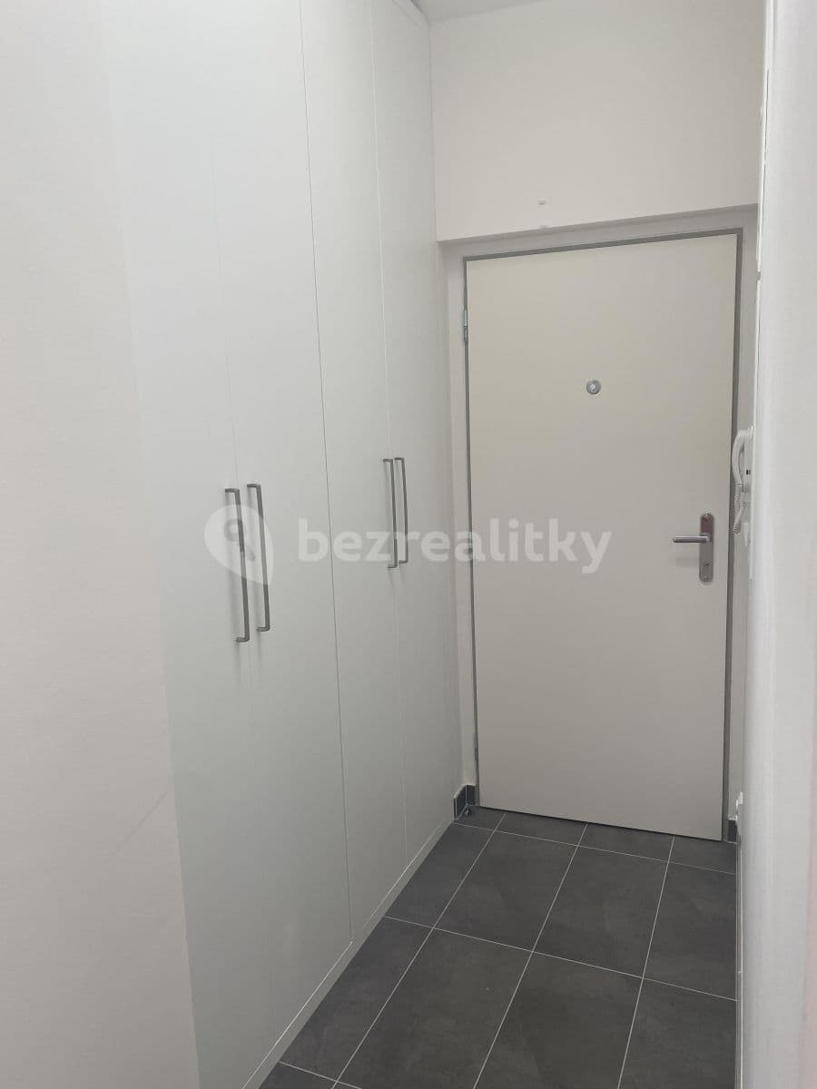 1 bedroom with open-plan kitchen flat to rent, 42 m², Bořivojova, Prague, Prague