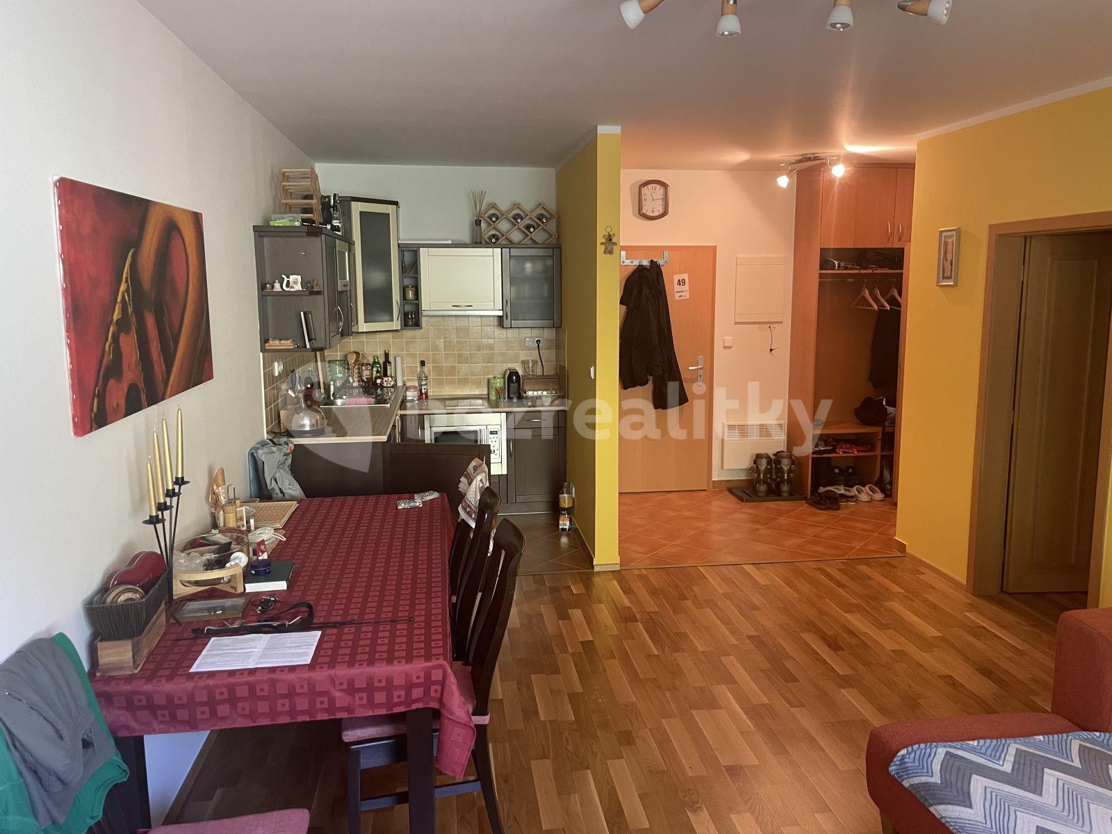 1 bedroom with open-plan kitchen flat for sale, 49 m², Rokytnice nad Jizerou, Liberecký Region