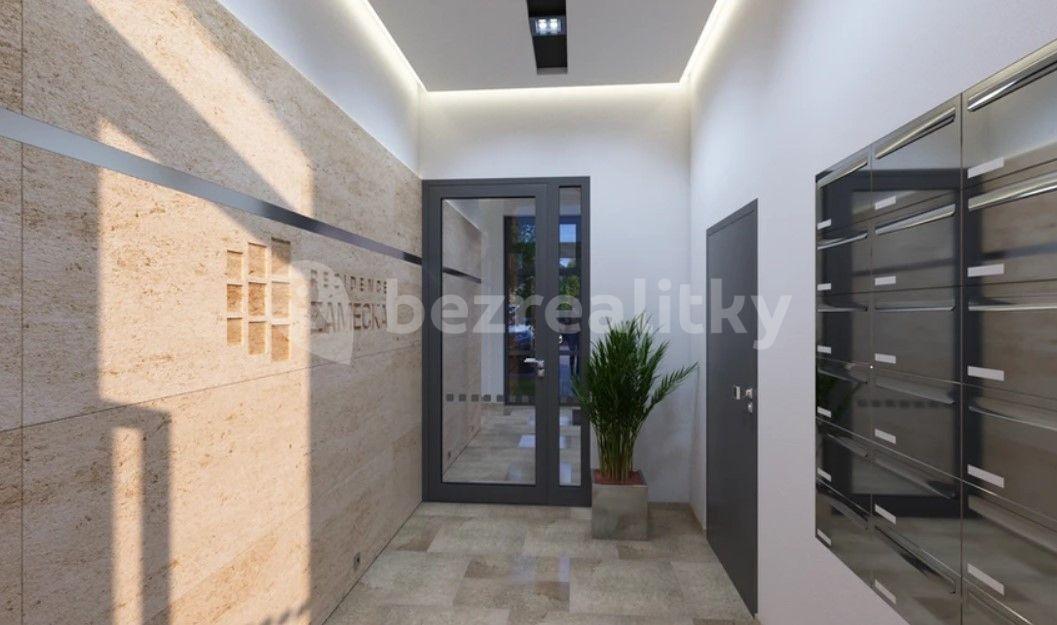 1 bedroom with open-plan kitchen flat for sale, 54 m², Lovosice, Ústecký Region