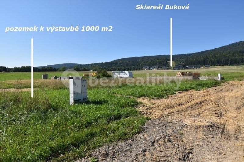 plot for sale, 1,000 m², Červená Voda, Pardubický Region