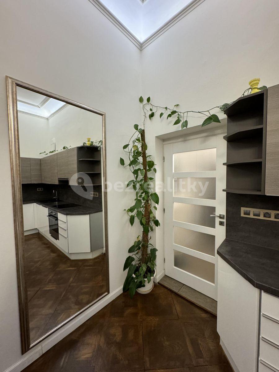 1 bedroom with open-plan kitchen flat for sale, 65 m², Mánesova, Prague, Prague
