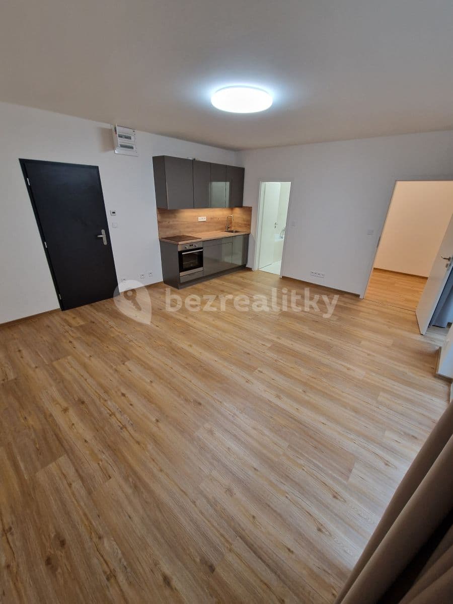 1 bedroom with open-plan kitchen flat to rent, 50 m², Pod Stárkou, Prague, Prague