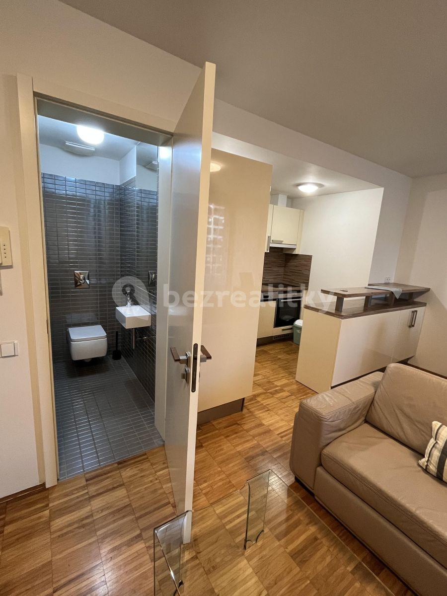 1 bedroom with open-plan kitchen flat to rent, 49 m², Prokopova, Prague, Prague
