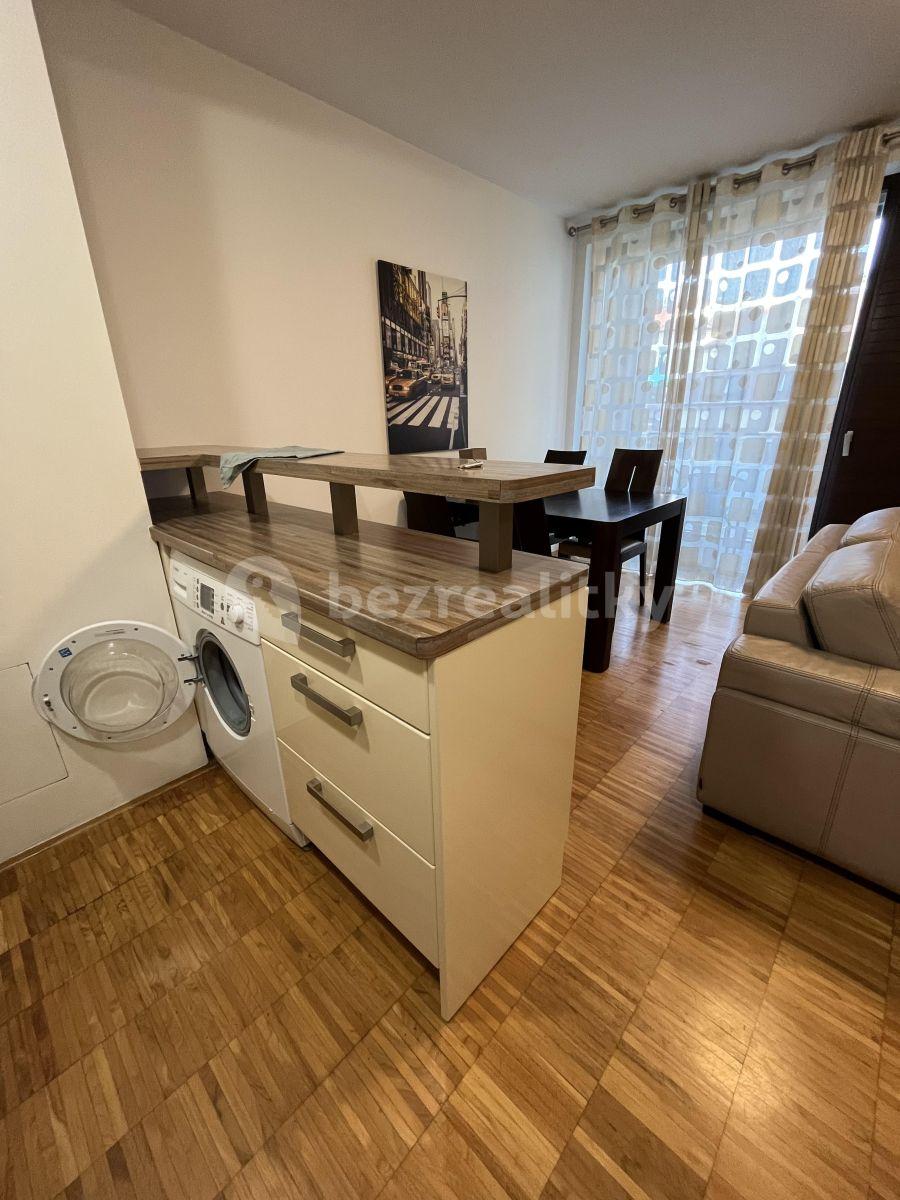 1 bedroom with open-plan kitchen flat to rent, 49 m², Prokopova, Prague, Prague