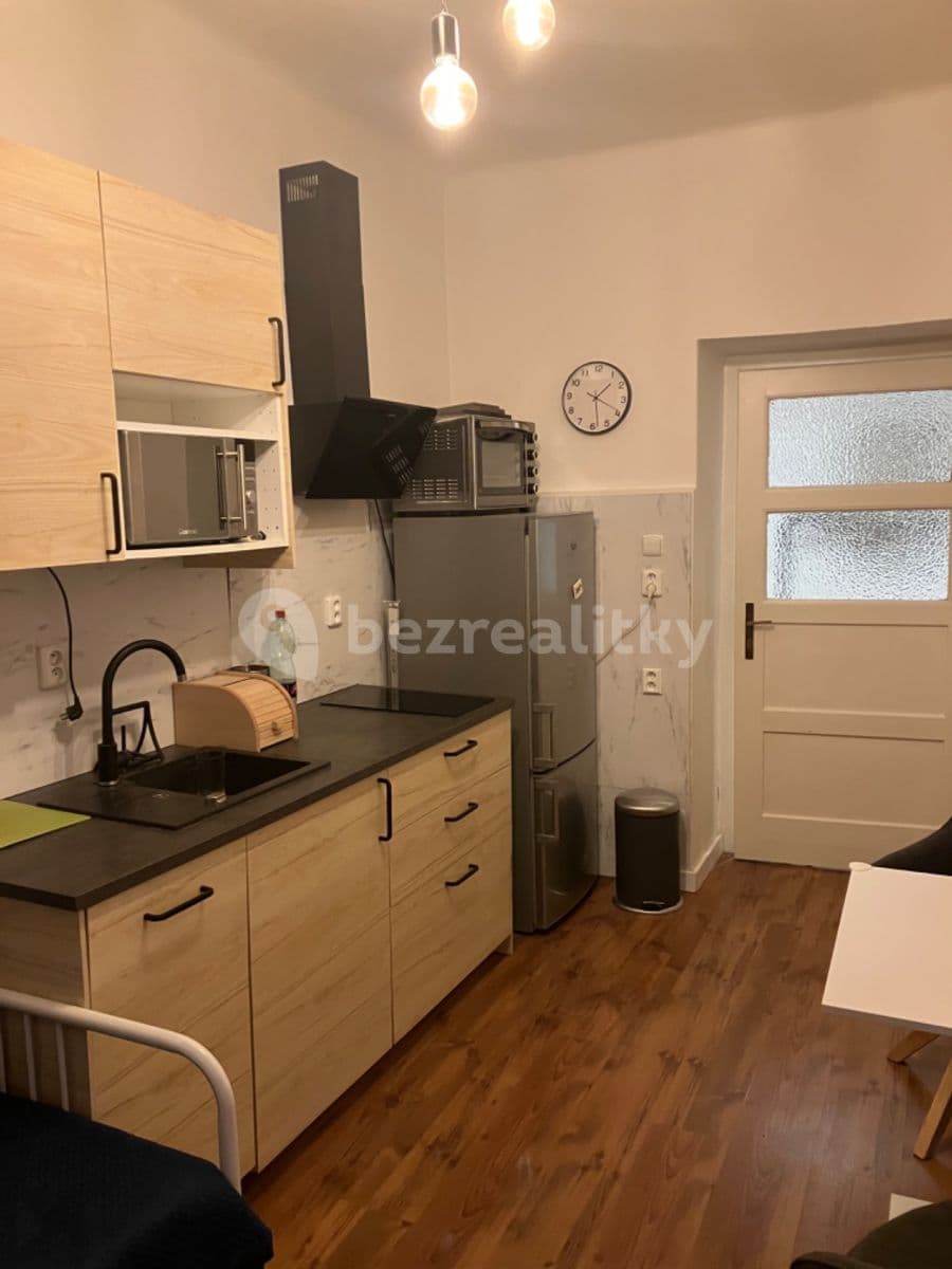 1 bedroom with open-plan kitchen flat to rent, 44 m², Rejskova, Prague, Prague
