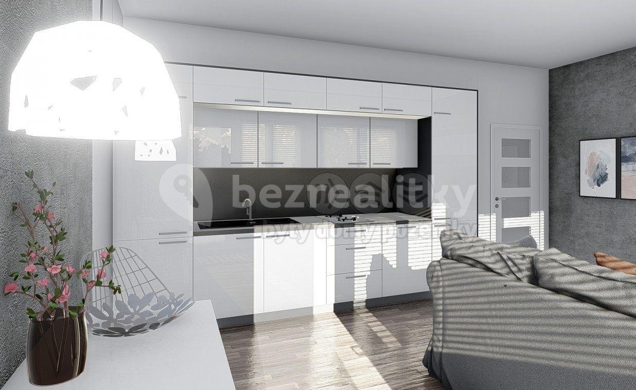 1 bedroom with open-plan kitchen flat for sale, 53 m², Nad Krocínkou, Prague, Prague