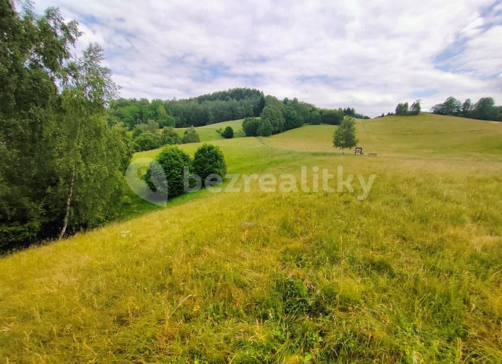 plot for sale, 2,377 m², Pustinská, Desná, Liberecký Region