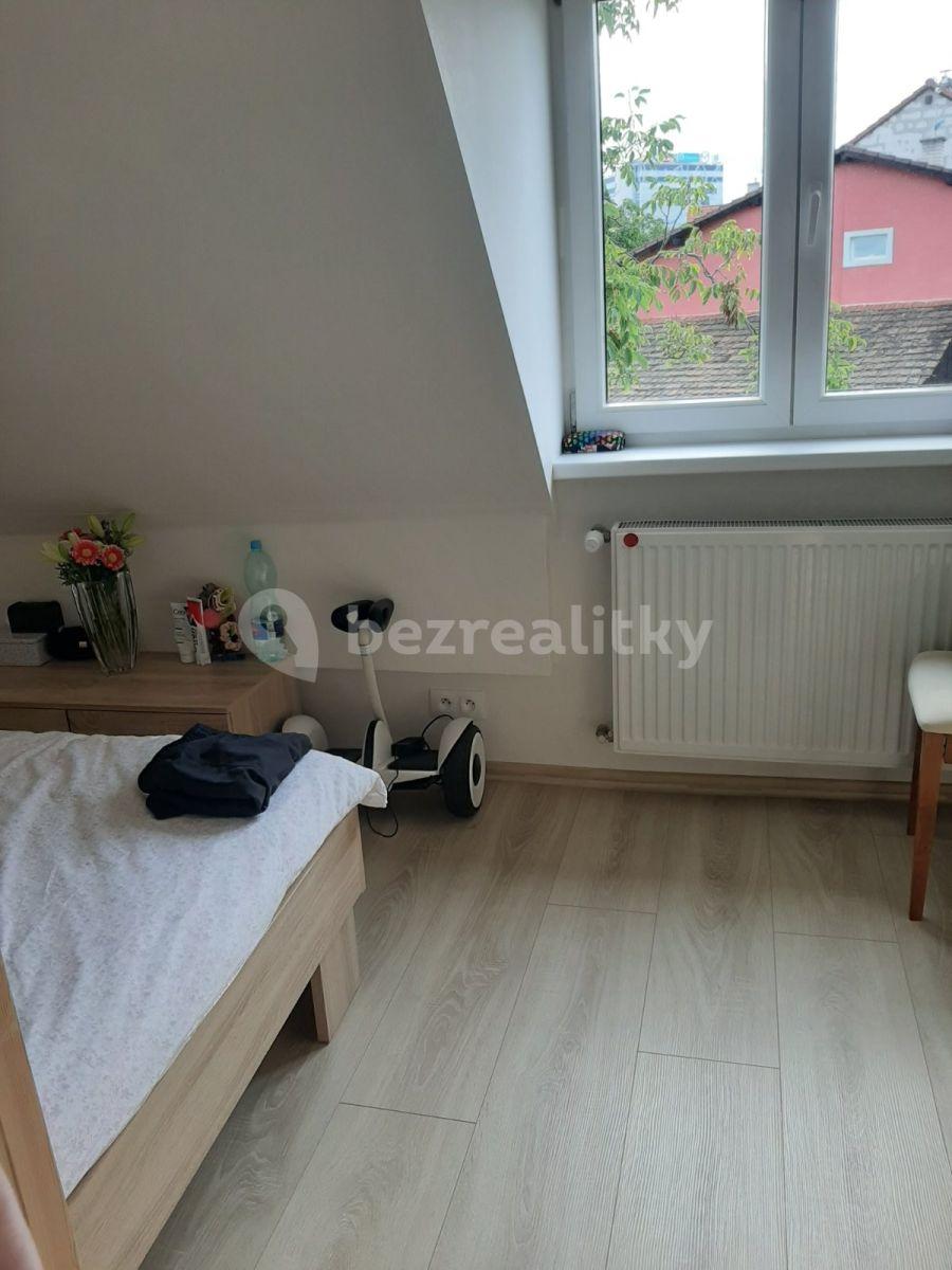 2 bedroom with open-plan kitchen flat to rent, 85 m², U Stojanu, Prague, Prague