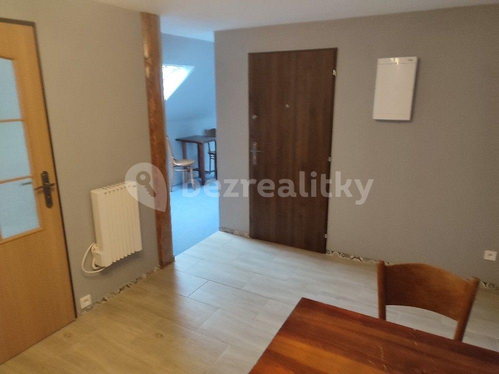 Studio flat to rent, 43 m², Chotilsko, Středočeský Region