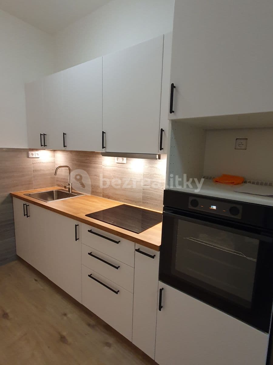 1 bedroom with open-plan kitchen flat to rent, 38 m², Dobrovského, Prague, Prague