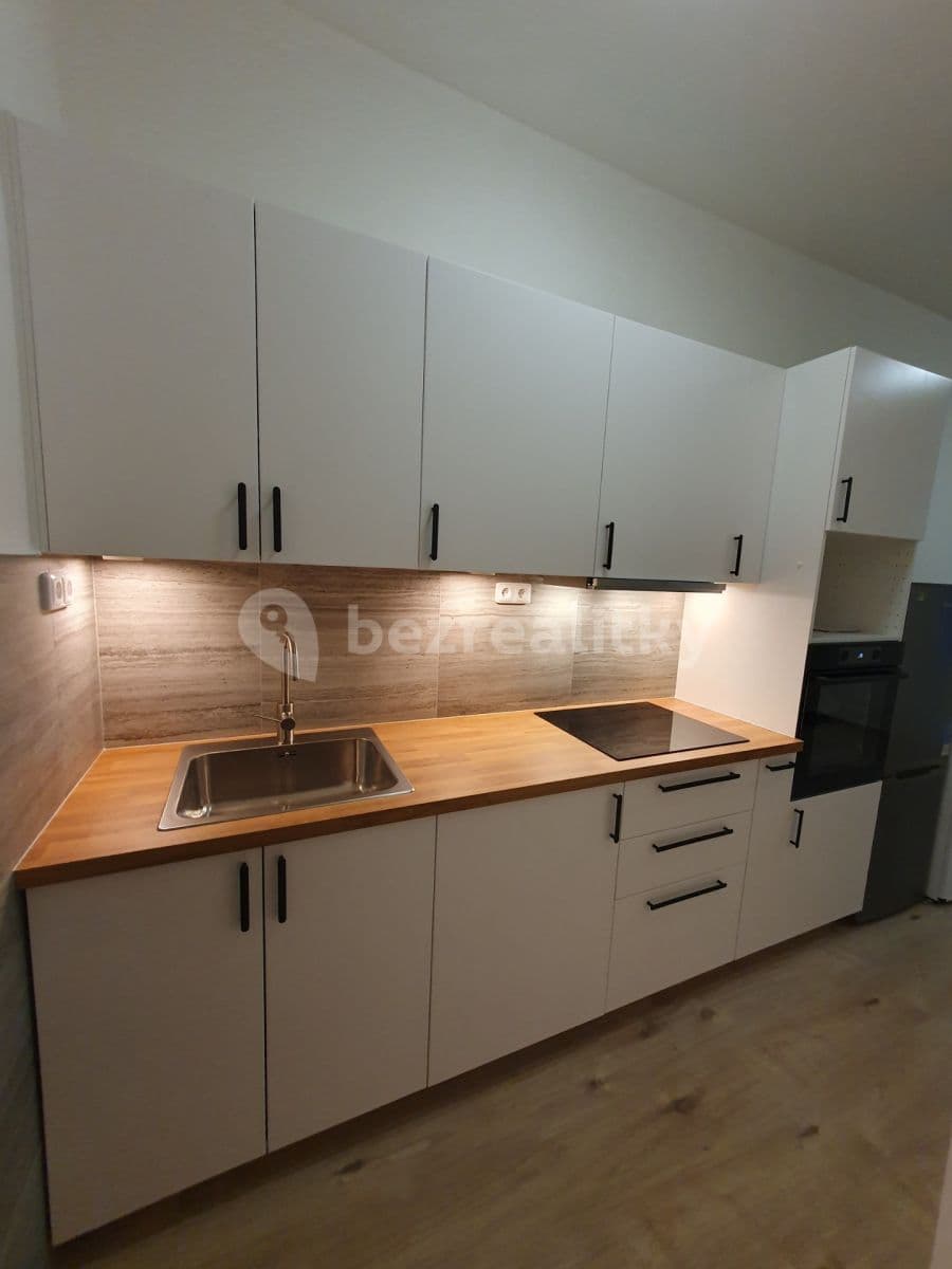 1 bedroom with open-plan kitchen flat to rent, 38 m², Dobrovského, Prague, Prague