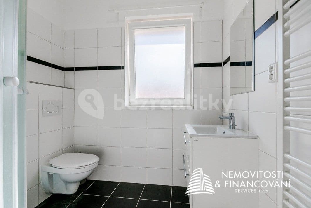 1 bedroom with open-plan kitchen flat to rent, 57 m², Nad Zlíchovem, Prague, Prague