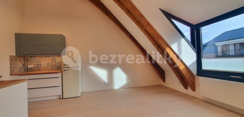 1 bedroom with open-plan kitchen flat to rent, 46 m², Na Vidouli, Prague, Prague