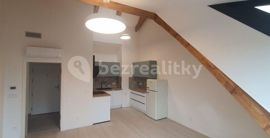 1 bedroom with open-plan kitchen flat to rent, 46 m², Na Vidouli, Prague, Prague