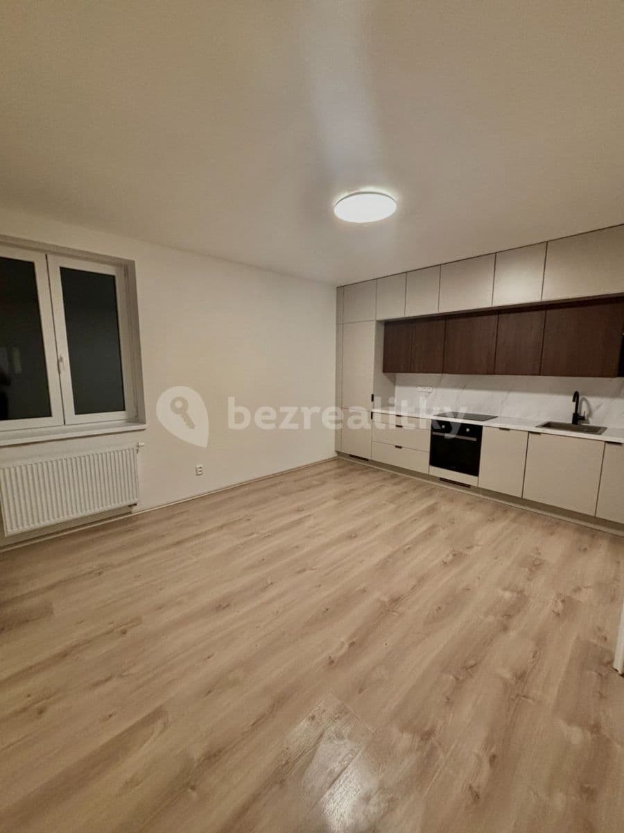 1 bedroom with open-plan kitchen flat to rent, 43 m², Bolzanova, Brno, Jihomoravský Region